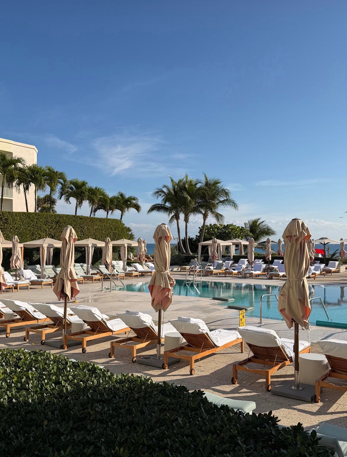 Heart-Centered Wellness Retreat | BOULDER | NANDI ALIGN | One Full Day Event Pass 650 Value