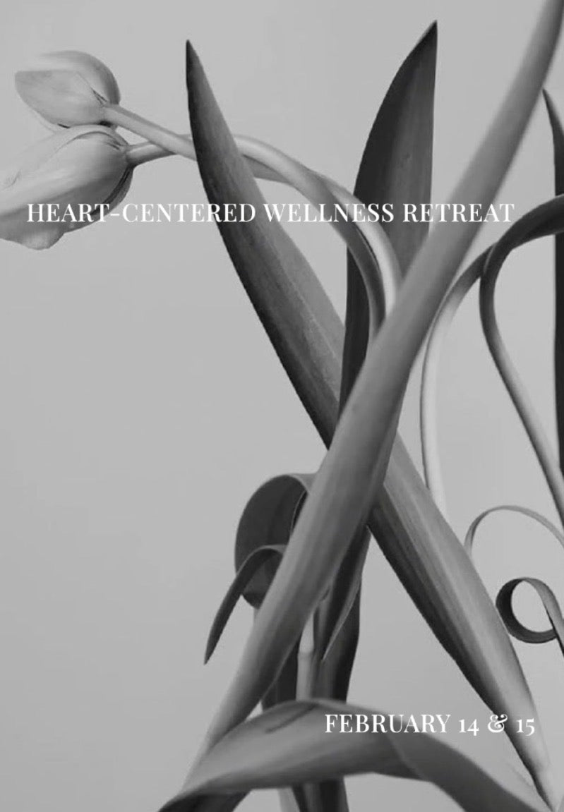 Heart-Centered Wellness Retreat | BOULDER | NANDI ALIGN | One Full Day Event Pass 650 Value